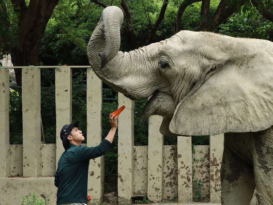 壽山動物園致敬超級奶爸 用愛守護動物們